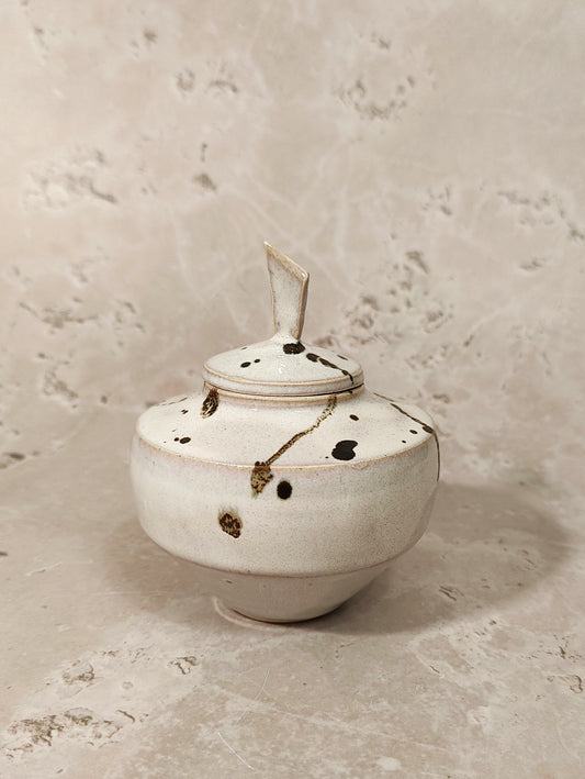 Lidded jar | splatter