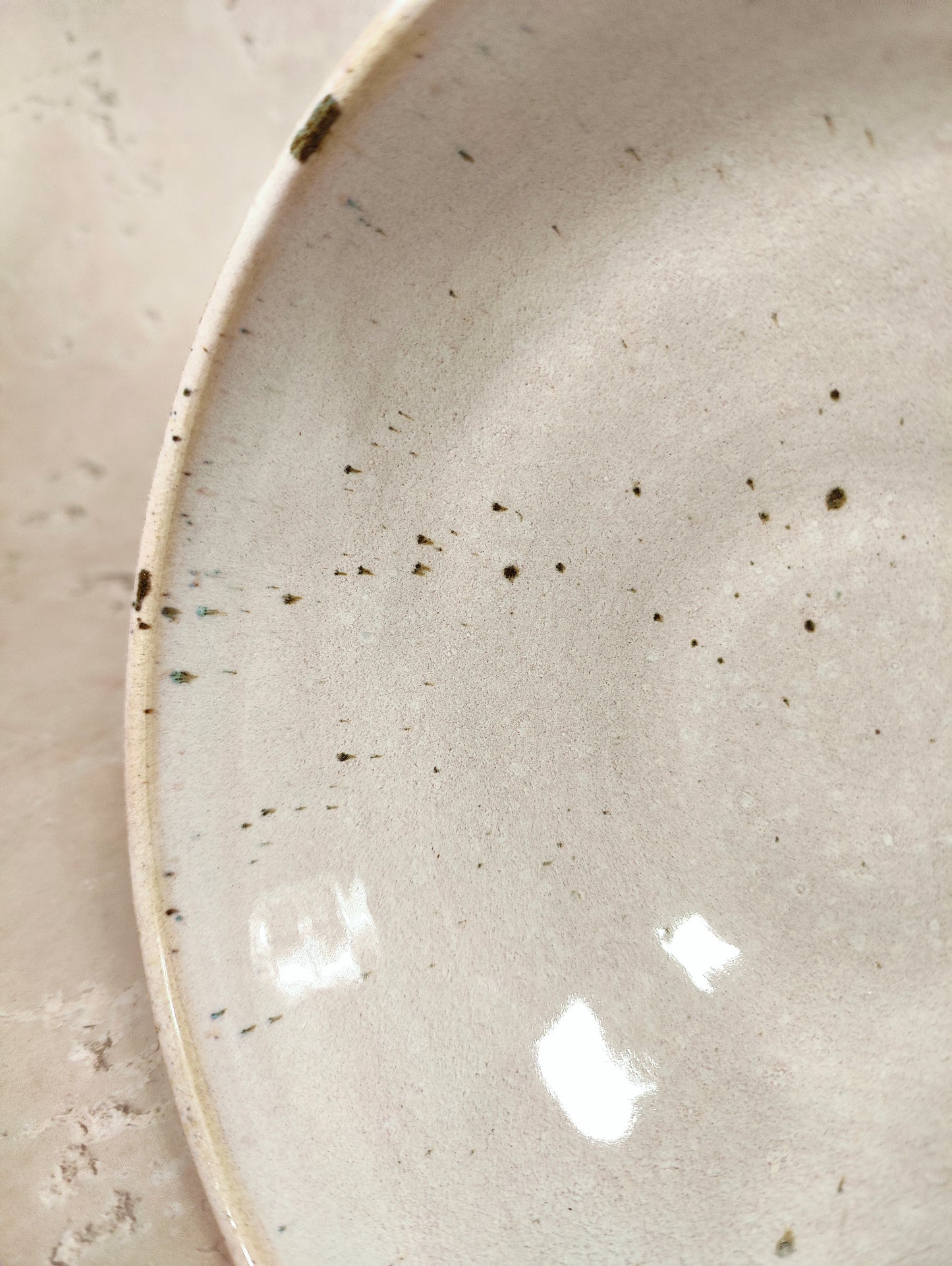 Dinner bowl | splatter